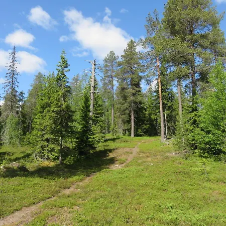 Kotomanty Апартаменты Рука