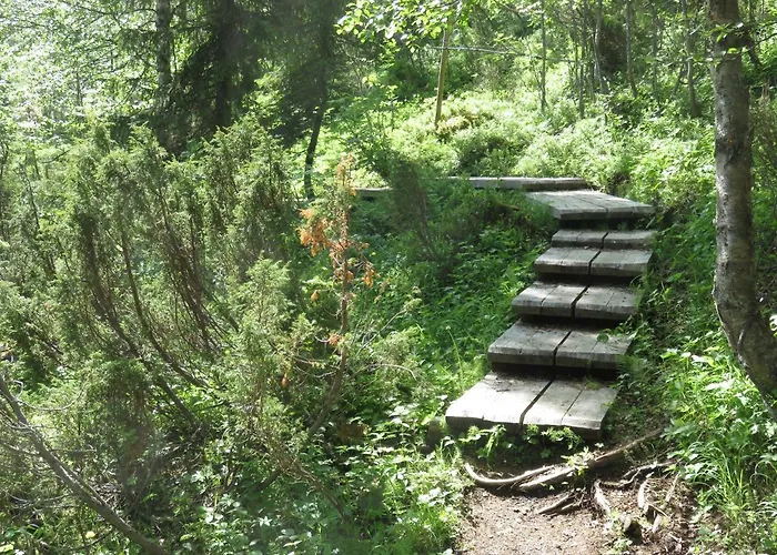 Kotomanty Daire Ruka