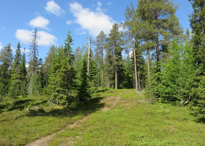 Kotomanty Daire Ruka